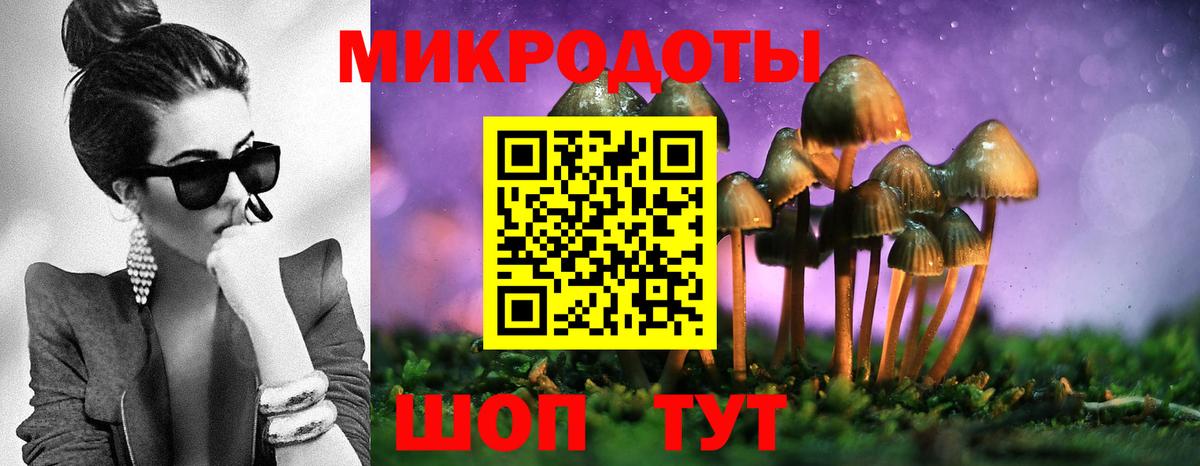 Галлюциногенные грибы Magic Shrooms Скопин