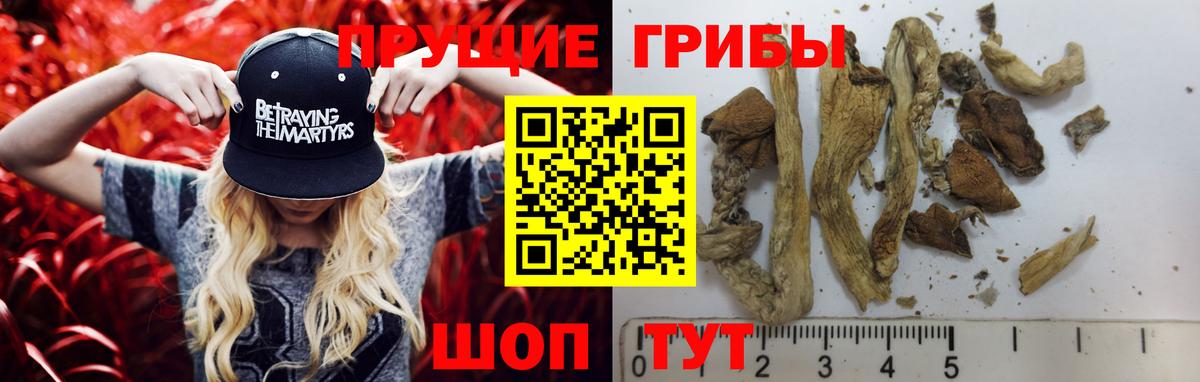 Галлюциногенные грибы Magic Shrooms  Вход с VPN  Скопин 